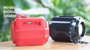 Wireless Outdoor Speaker