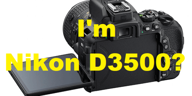 Nikon D3500 Specs