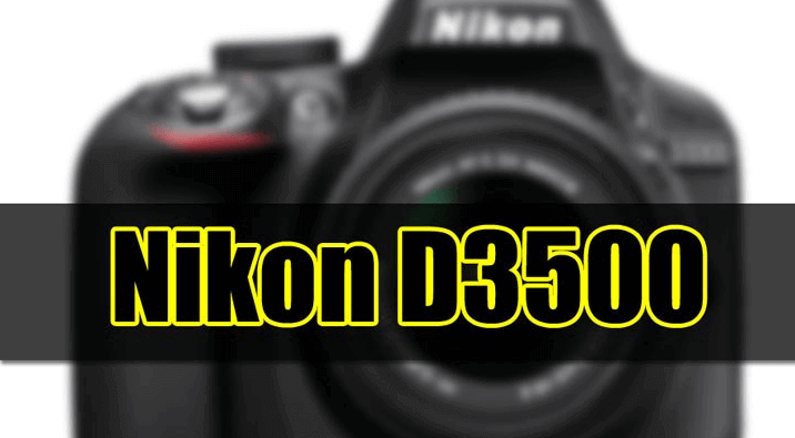 Nikon D3500 Specs