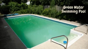 Green Water Swimming Pool