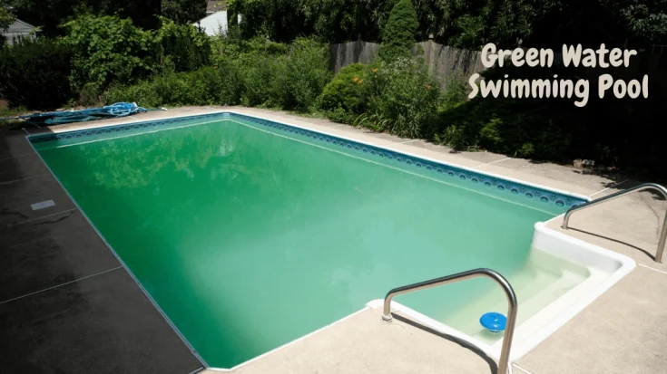 Green Water Swimming Pool