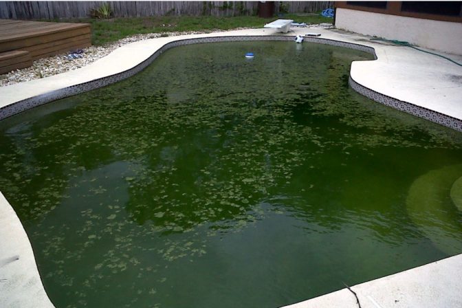 Green Water Swimming Pool