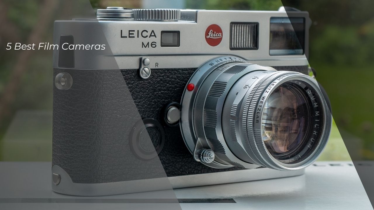 5 Best Film Cameras