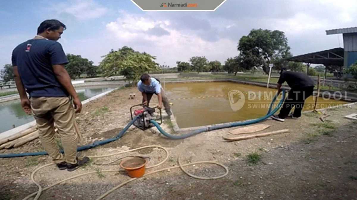 How to Turn Your Pond Into a Swimming Pool