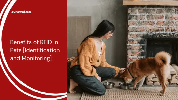 Benefits of RFID in Pets [Identification and Monitoring]