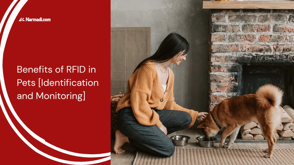 Benefits of RFID in Pets [Identification and Monitoring]