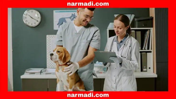 Benefits of RFID in Pets That Are Helping with Identification and Monitoring - Update 2