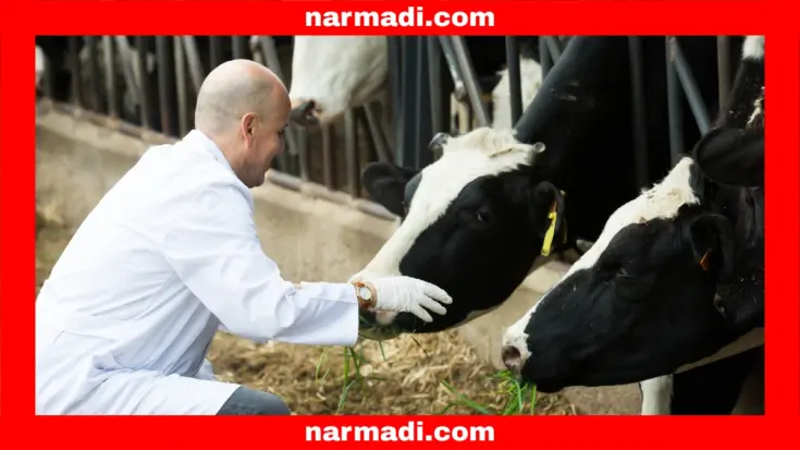 Benefits of RFID in Pets That Are Helping with Identification and Monitoring - Update 3