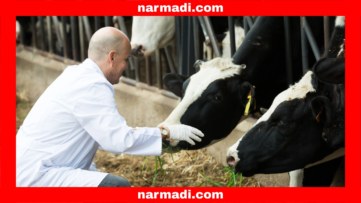 Benefits of RFID in Pets That Are Helping with Identification and Monitoring - Update 3