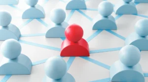 Getting to Know About LR-WPAN from Components to its Assembling