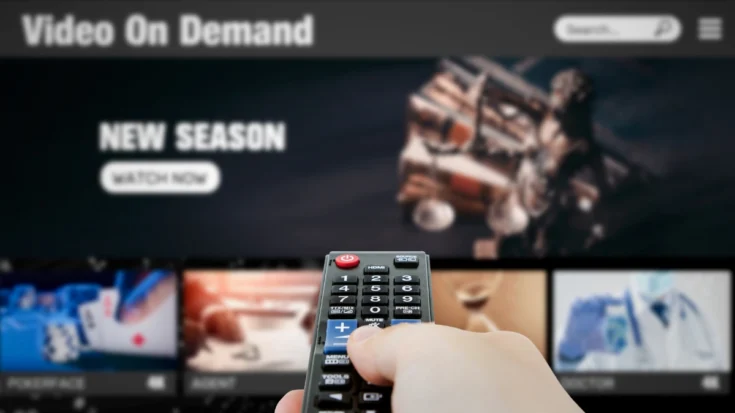 Knowing The 5 Types of Digital TV That You Need to Know 2