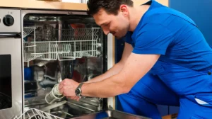 The 5 Ultimate Guide to Flawless Dishwasher Maintenance