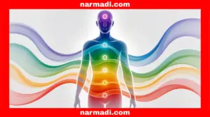 The Importance of Specific Absorption Rate Test for ITC Products - Update