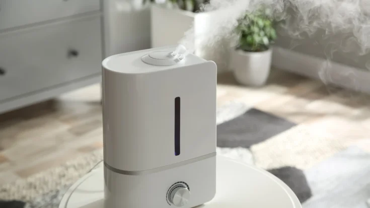 Diffuser vs Humidifier the 5 Essential Differences 3