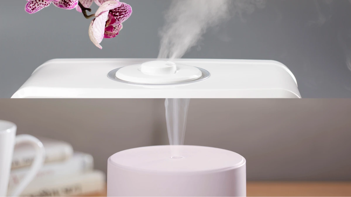 Diffuser vs Humidifier the 5 Essential Differences 4