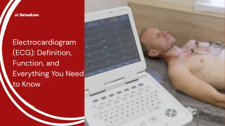 Electrocardiogram (ECG) Definition, Function, and Everything You Need to Know - Update