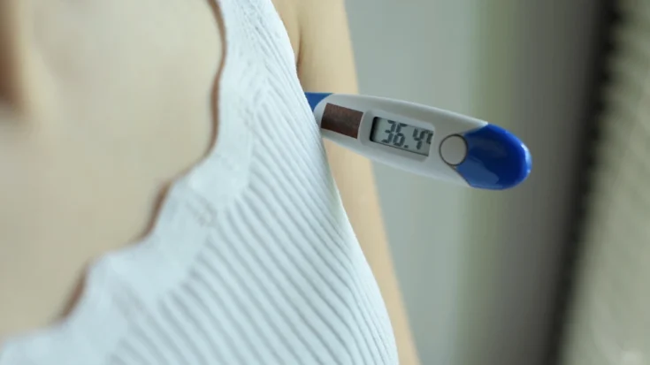 Exploring the 5 Types of Digital Thermometers 3