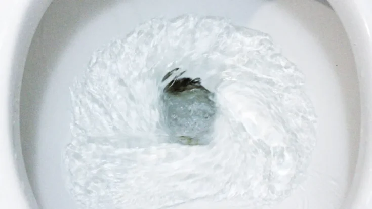 Smart Closet Definitions, Features, Benefits, and Regulations in Indonesia 2