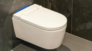 Smart Closet Definitions, Features, Benefits, and Regulations in Indonesia