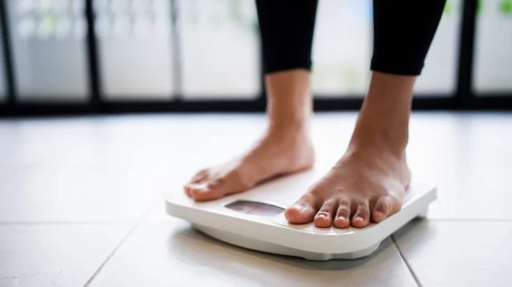 Smart Scale Definition, How it Works, Benefits, the Regulations in Indonesia 3