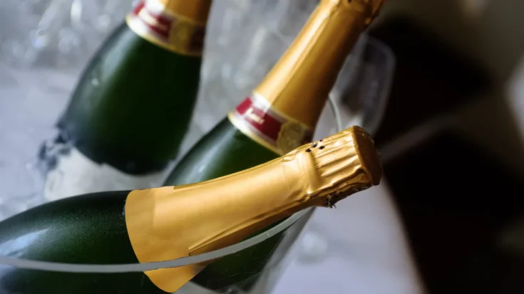 Smart Wine Chiller Knowing the Features, Benefits, and the Regulations in Indonesia 4