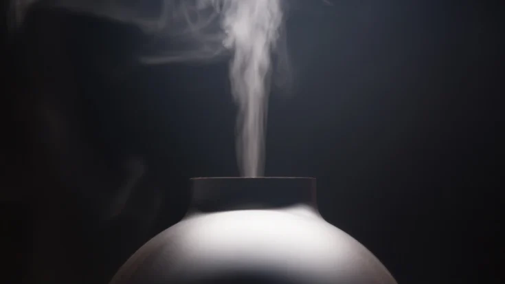 The Advantages and Disadvantages of Smart Diffusers Revealed 3