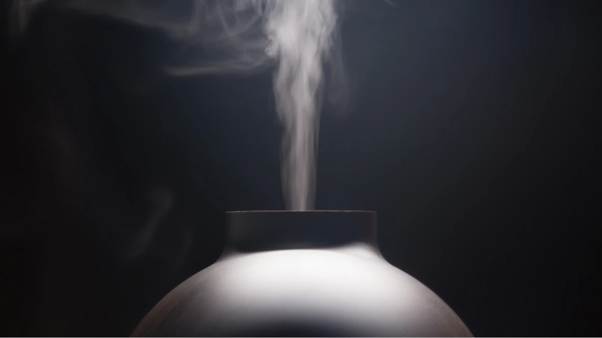 The Advantages and Disadvantages of Smart Diffusers Revealed 3