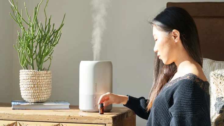 The Advantages and Disadvantages of Smart Diffusers Revealed