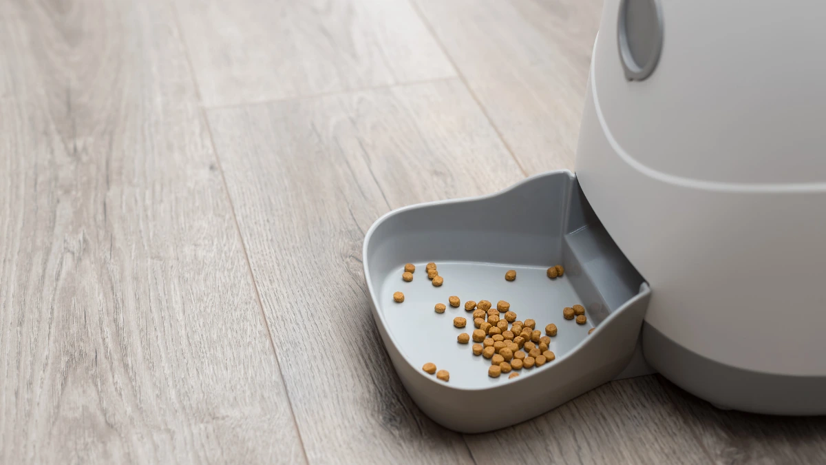 The Advantages and Disadvantages of Smart Pet Feeder A Must-Read for Pet Owner 3