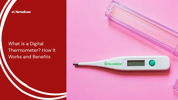 What is a Digital Thermometer How It Works and Benefits