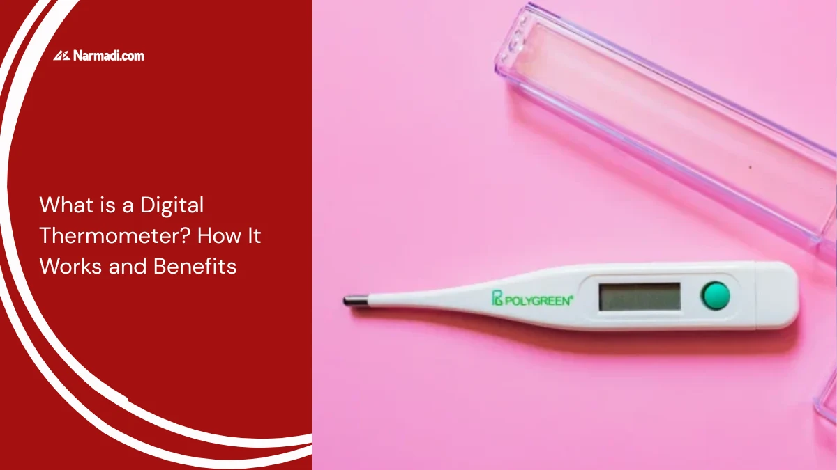 What is a Digital Thermometer How It Works and Benefits