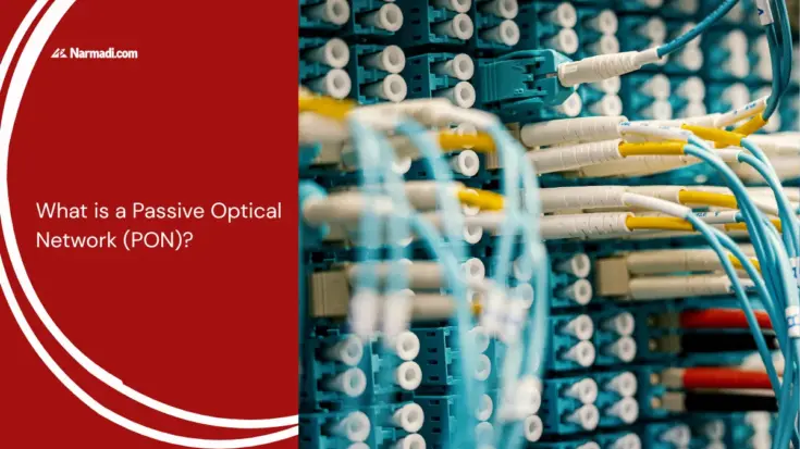 What is a Passive Optical Network (PON)