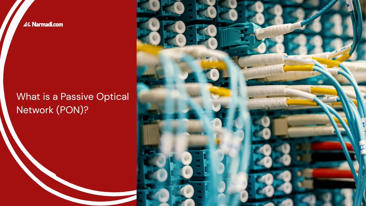 What is a Passive Optical Network (PON)