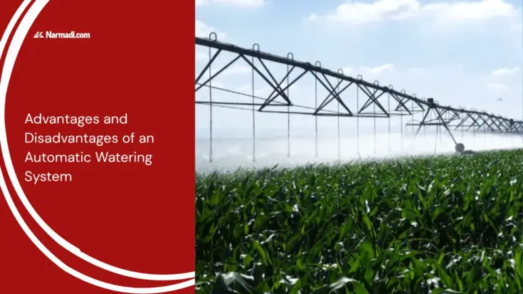 Advantages and Disadvantages of an Automatic Watering System