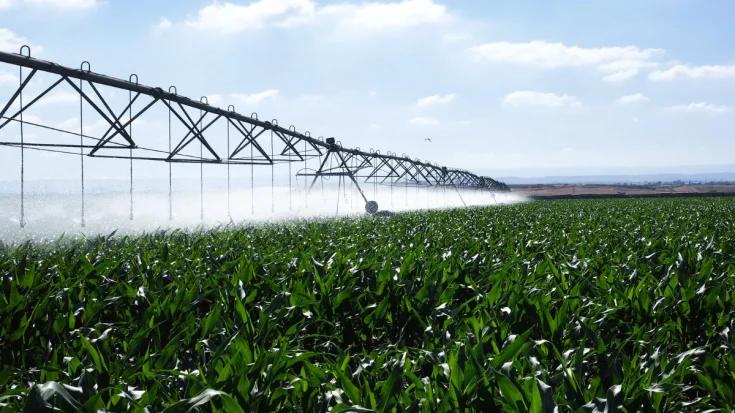 Automatic Watering System Definition, How it Works, Functions, and Regulation in Indonesia 2