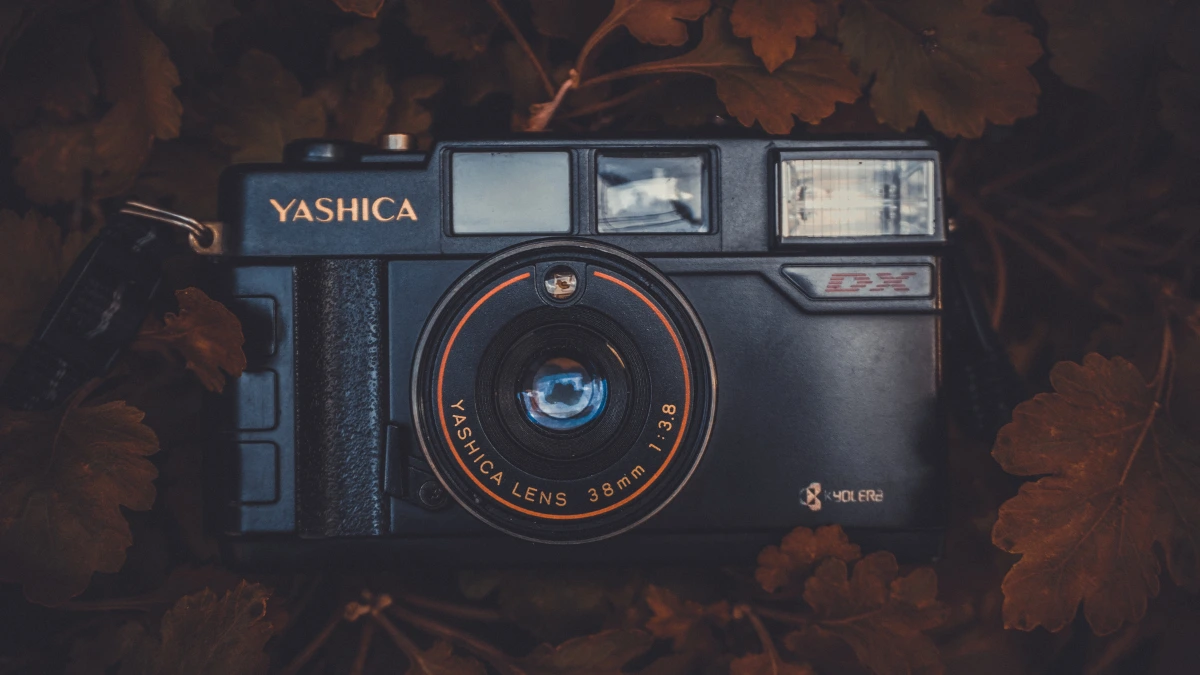 Compact Cameras Definition, Usability, and Advantages