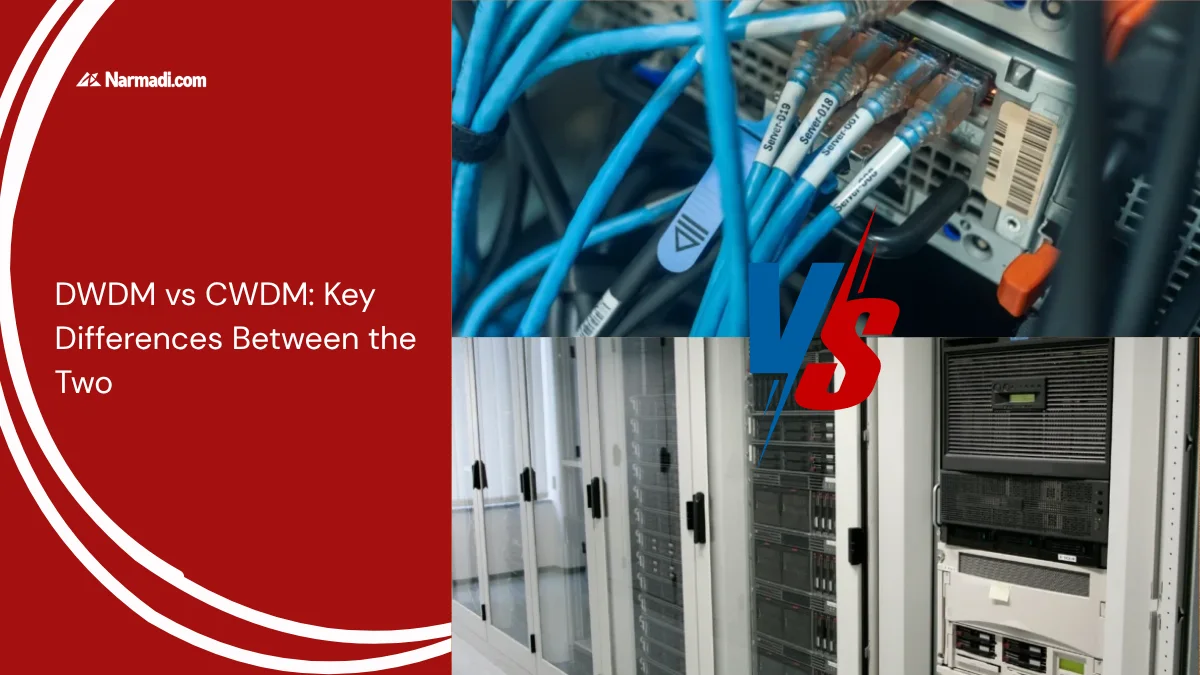 DWDM vs CWDM: Key Differences Between the Two