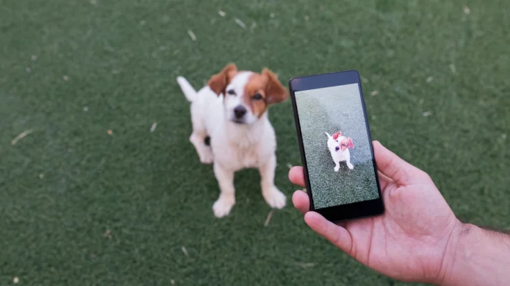 Smartphone Cameras Definition, Usability, and Advantages 3