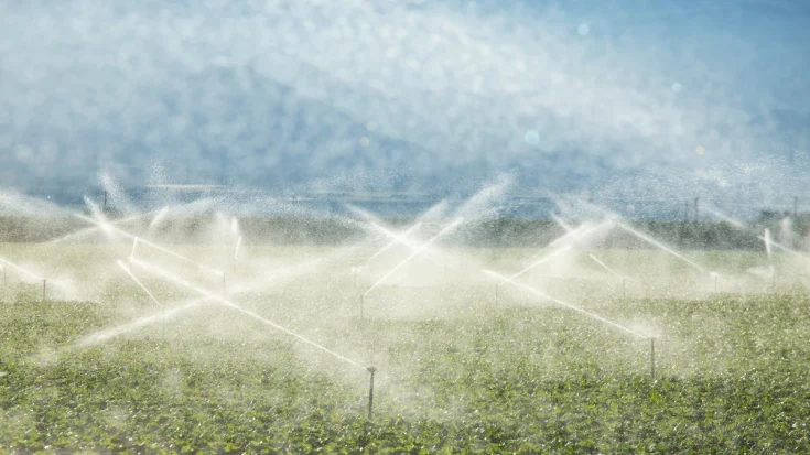 The Transformative Advantages and Disadvantages of Automatic Watering System 2