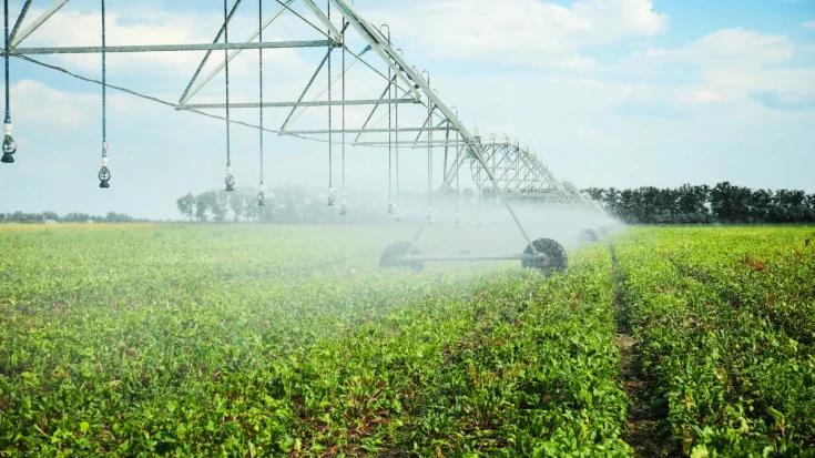 The Transformative Advantages and Disadvantages of Automatic Watering System 3