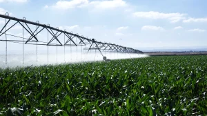 The Transformative Advantages and Disadvantages of Automatic Watering System