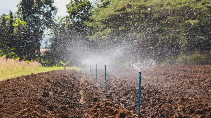 The Transformative Advantages and Disadvantages of Automatic Watering System 4