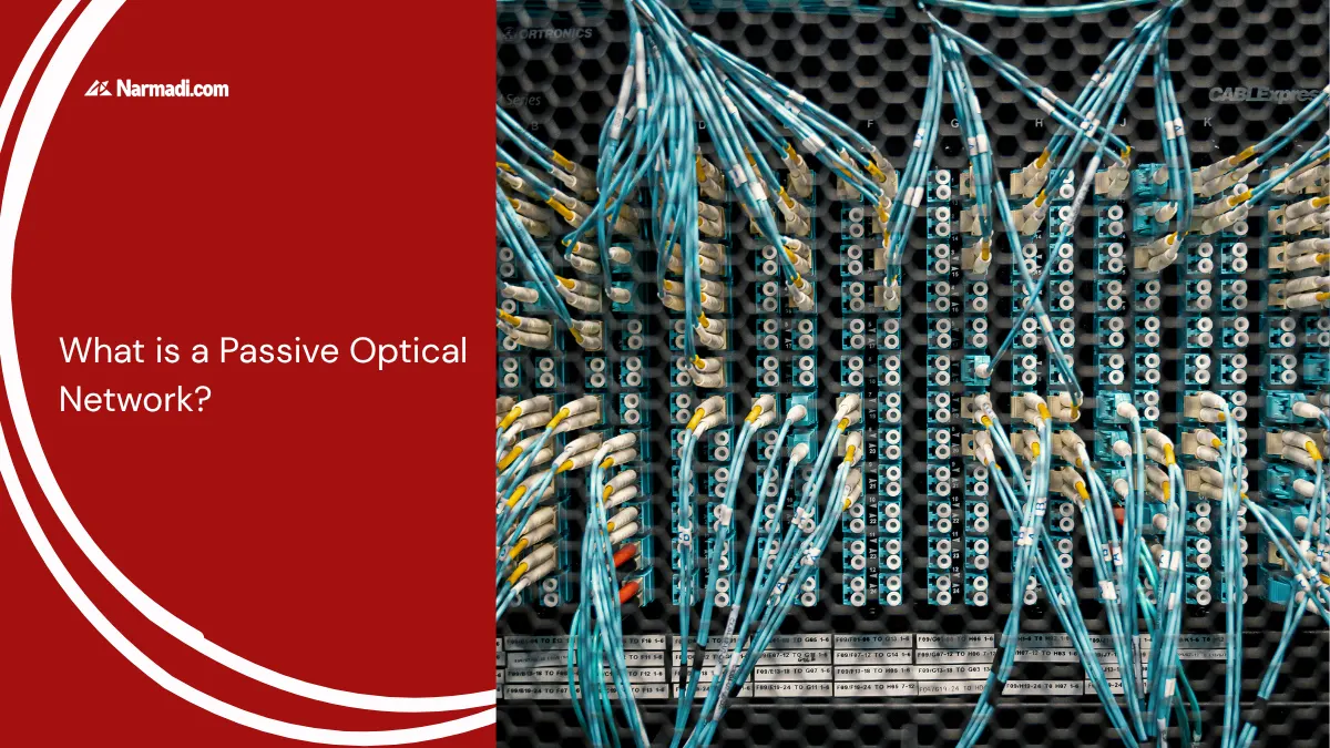 What is a Passive Optical Network