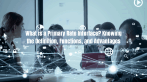 What is a Primary Rate Interface Knowing the Definition, Functions, and Advantages