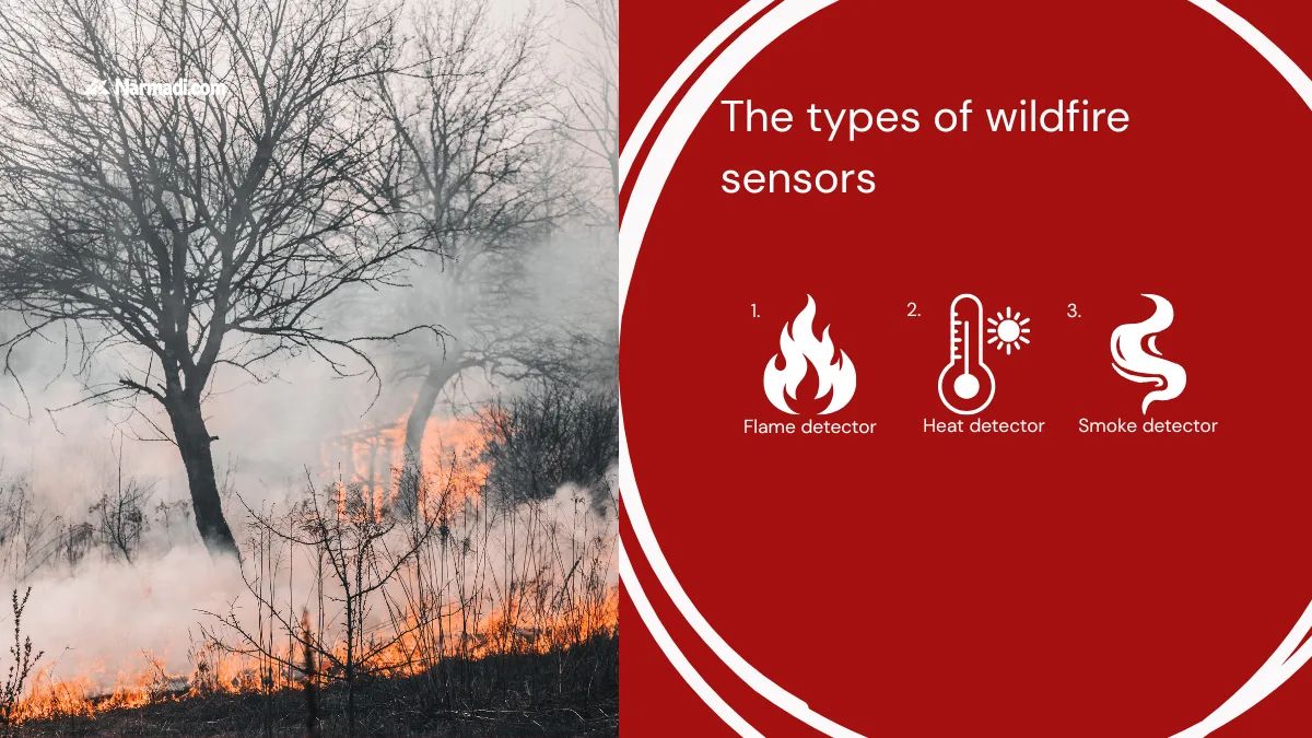 What is a Wildfire Sensor? How it Works and Benefits 2