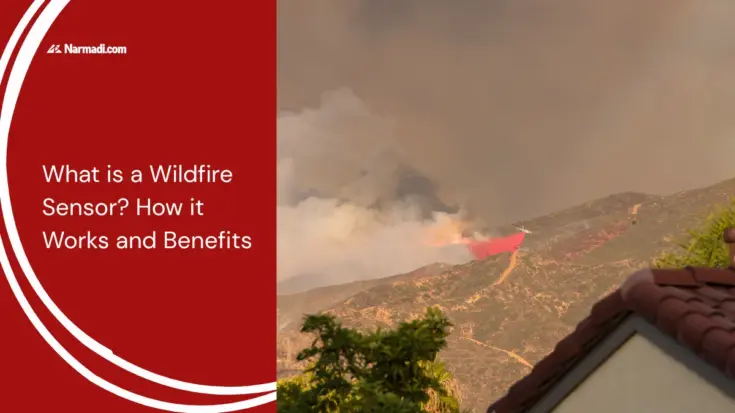 What is a Wildfire Sensor? How it Works and Benefits