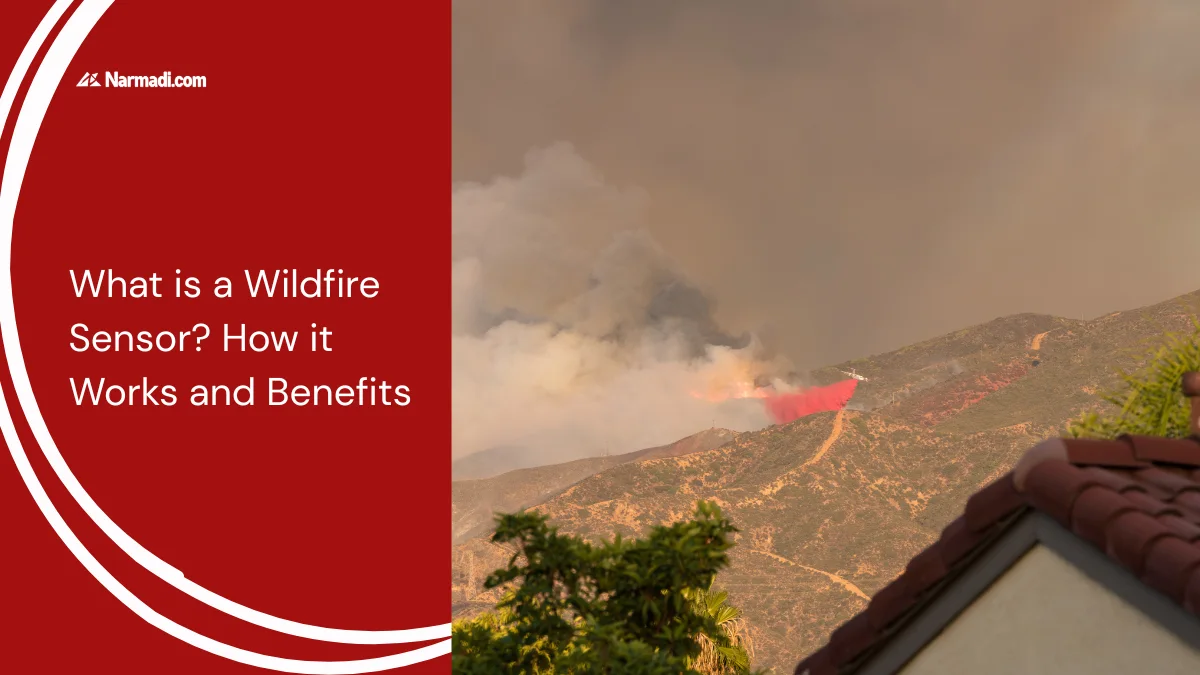 What is a Wildfire Sensor? How it Works and Benefits