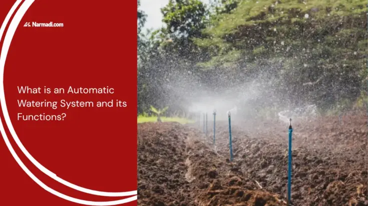 What is an Automatic Watering System and its Functions