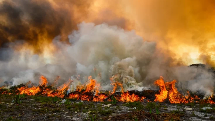 Wildfire Sensor Definition, How it Works, Types, and Benefits That Can Help Detect Fire 2