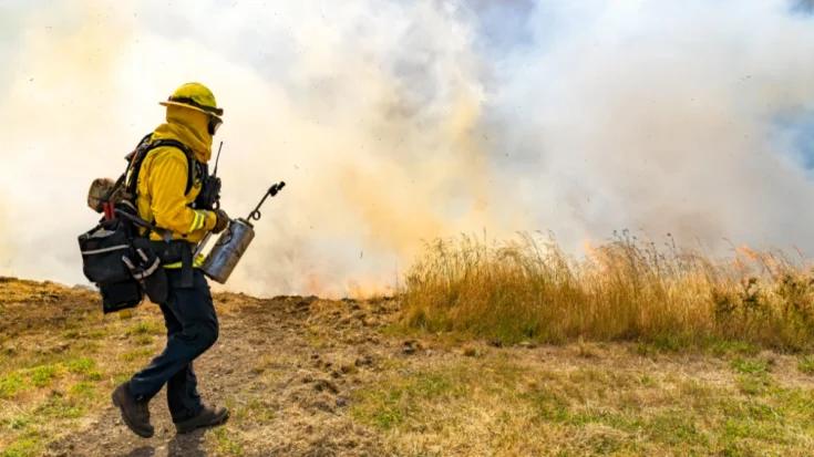 Wildfire Sensor in Open Areas the Importance and the Example of Sensor that You Need to Know 2